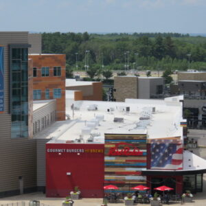 AMICO Successfully Implements APEX Architectural Mesh Products for Red Robin