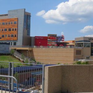 AMICO Successfully Implements APEX Architectural Mesh Products for Red Robin