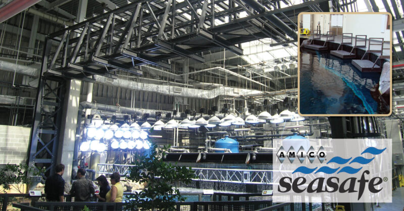 Seasafe Aquarium